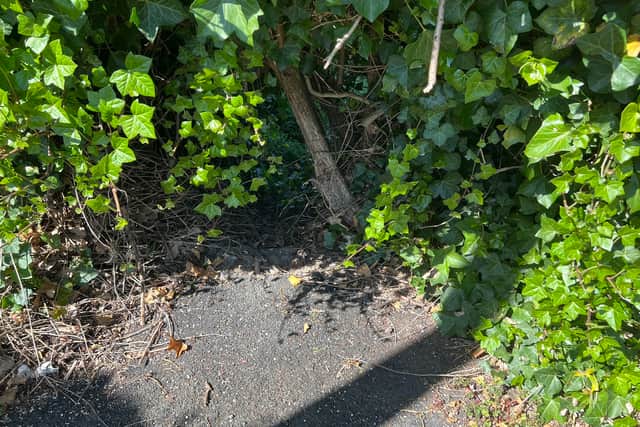 Kath Clark has made holes in the hedgerow next to her home to try to prevent flooding