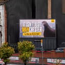 PETA pigeon billboard in Manchester