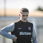 Viktor Gyokeres could be in the Premier League next season