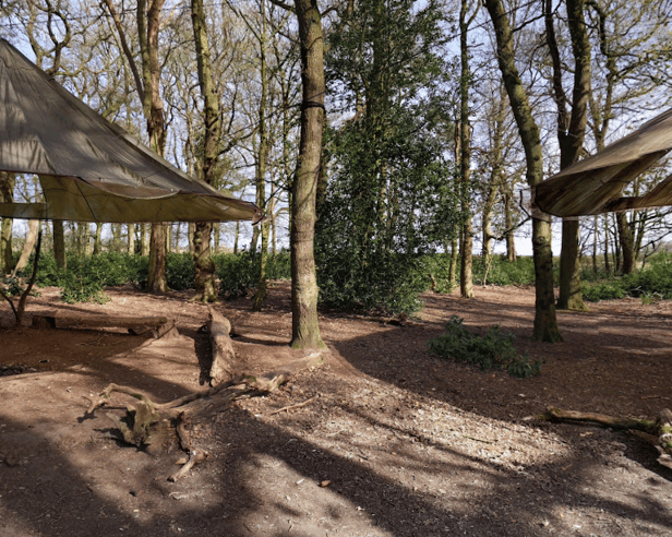 Into The Wild is located just outside of Altrincham 