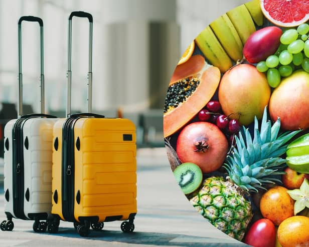 Can I bring food back from holiday? Travel rules for food -  including restrictions on fruit and meat