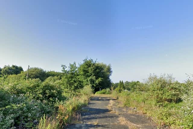 Iredine Street, wild and overgrown, pictured in 2024