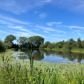 A picture of the 'Secret Lake' in Reddish, Stockport