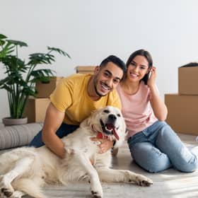 Moving in to a rented property with your pet in tow has become far easier - but it presents challenges for tenants and landlords