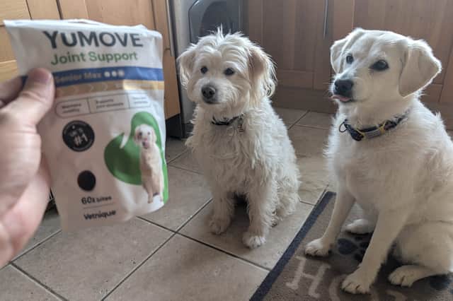 YuMove offers a range of supplements for various treatments, but this is the one I'm sticking with