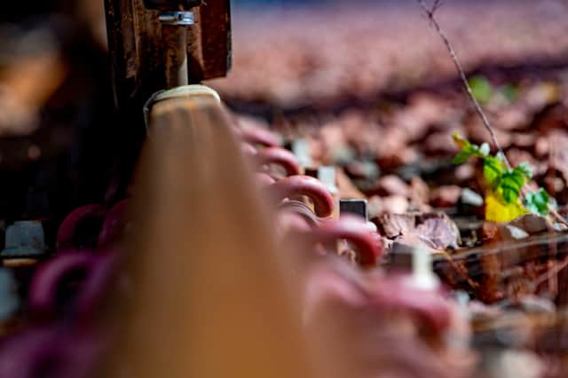 Leaves on the line can make railway tracks slippery, much like black ice on the roads. This makes it harder for trains to accelerate and brake.  