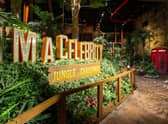 I’m a Celebrity... Jungle Challenge 