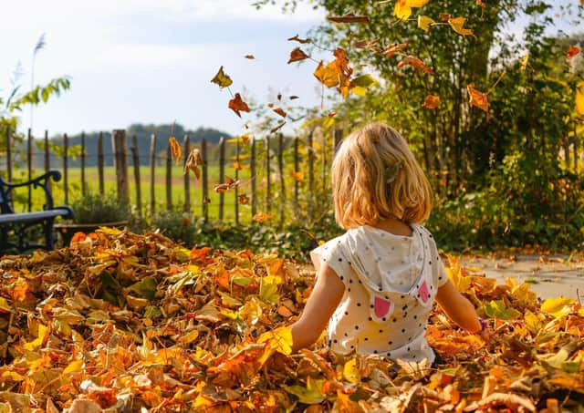 <p>Fun doesn't have to be expensive: Free activities for October half term</p>