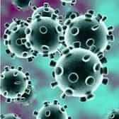 Coronavirus Credit: Shutterstock 