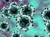 Coronavirus Credit: Shutterstock 