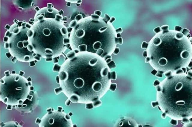 Coronavirus Credit: Shutterstock