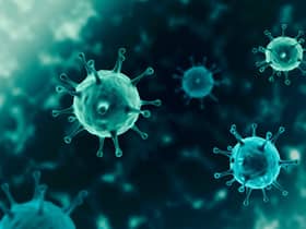 The Wellcome Sanger Institute analysed 38,000 positive Covid-19 tests taken in the week to January 15 to determine which variant they were.