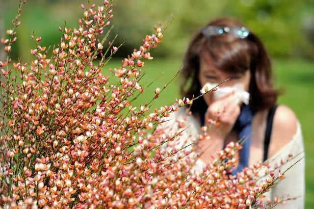 Hay fever season has already started for some - tree pollen is out and about