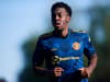 Anthony Elanga receives first Sweden call up after impressive form for Manchester United