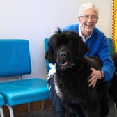 Paul O'Grady at Battersea Cats and Dogs Home with Peggy, a Newfoundland