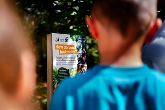 Designed for children aged 6-12, families can discover their nearest trail through a new interactive map. © Paul Rogers / WWF-UK