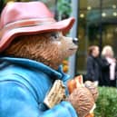 Paddington Bear Statue - Hardman Square, Spinningfields