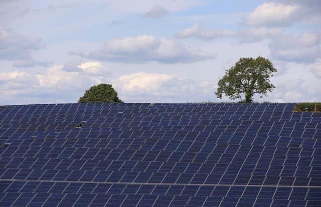 A general view of a lone tree standing above solar panels at the Low Bentham Solar Park, North Yorkshire.