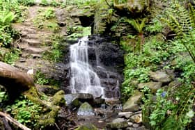 Fairy Glen was named as the top thing to do in Appley Bridge and scored 4.5 out of 5 from 230 reviews.