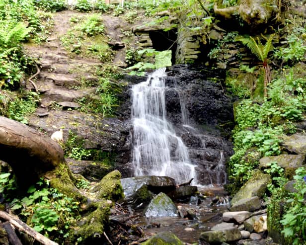 Fairy Glen was named as the top thing to do in Appley Bridge and scored 4.5 out of 5 from 230 reviews.