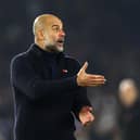 Pep Guardiola, Manager of Manchester City, believes Brighton deserve to be where they are