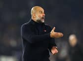 Pep Guardiola, Manager of Manchester City, believes Brighton deserve to be where they are