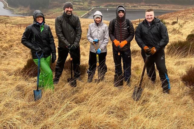 Vernon Building Society colleagues will plant more than 2200 trees with RSPB in 2024