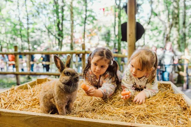 Children pet a rabbit in Cwtch Corner
