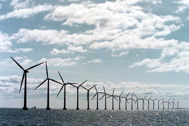 Offshore wind energy has a bright future as the world moves to net-zero carbon emissions (Picture: Soeren Bidstrup/AFP via Getty Images)