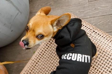 Security was tight on the day.