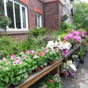 Mellor Country House charity plant sale