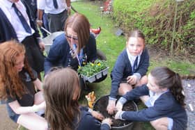 Pupils from St Mary’s Primary School enhancing Rose Court's garden area