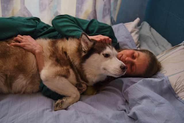 Fed-up wives and girlfriends say their dog is more dependable than their man