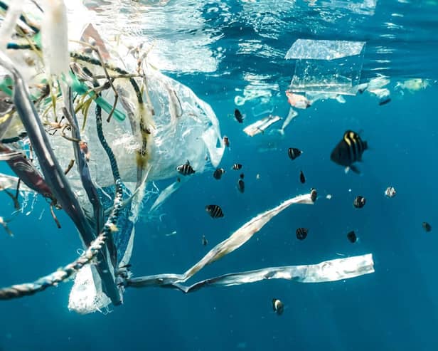 8 million metric tons of plastic waste enter the oceans each year