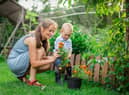 Experts at GardeningExpress.co.uk have selected their ten key tasks to complete in the garden this month.