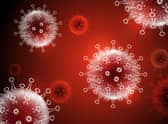 This is what coronavirus looks like. Picture: Shutterstock