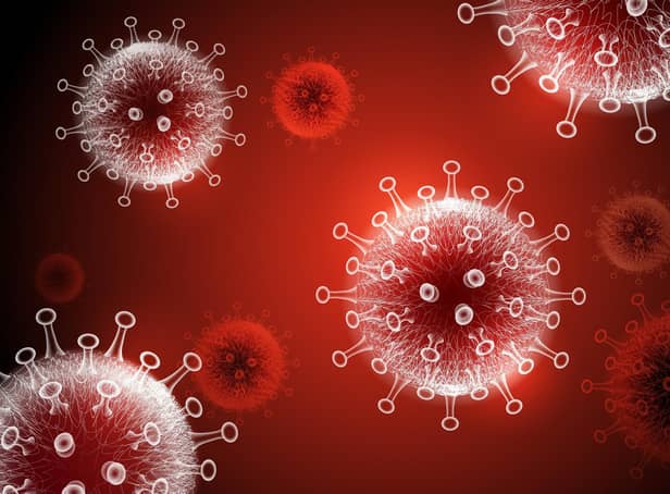 <p>This is what coronavirus looks like. Picture: Shutterstock</p>