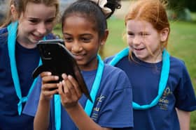 Scouts Cyber Skills Activities