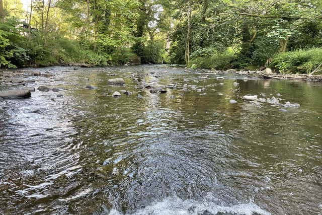 Stepping stones over the River Tame in Uppermill