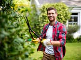 Sixty-three per cent of UK gardeners play music to their plants, research found (photo: Adobe)
