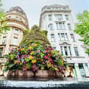 The festival will feature a stunning Floral Trail across the city centre