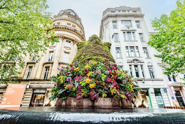 The festival will feature a stunning Floral Trail across the city centre