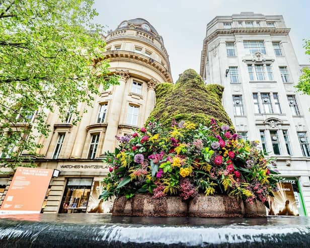 The festival will feature a stunning Floral Trail across the city centre