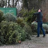 Christmas trees can be recycled (Picture: John Devlin)
